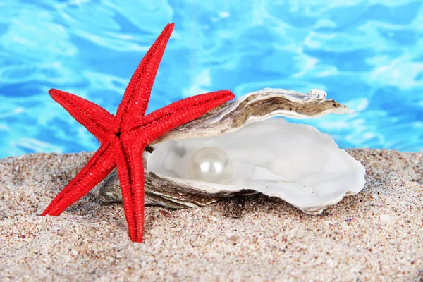 Open oyster with pearl on sand on water background — Stock Photo, Image