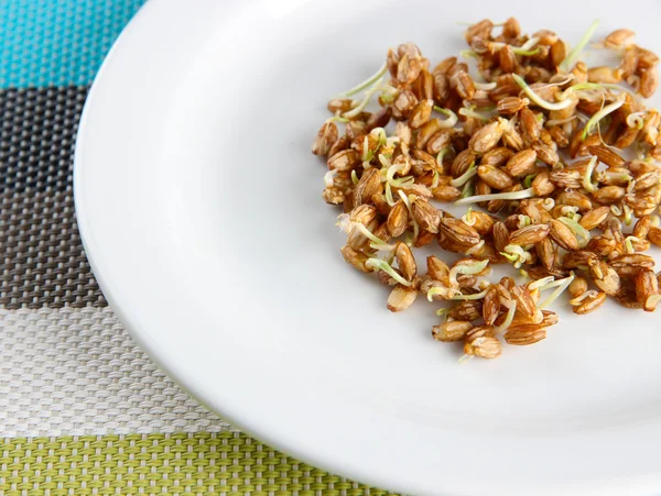 Wheat germs on plate, close up — Stock Photo, Image