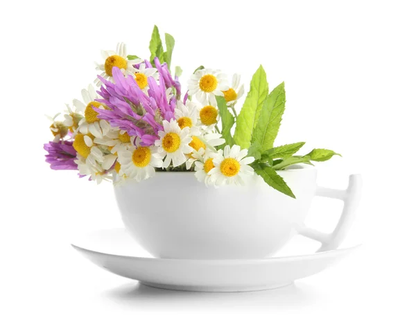 Schöne Wildblumen und Minze in Tasse, isoliert auf weiß — Stockfoto