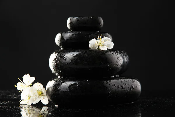 Spa stones and white flowers isolated on black — Stock Photo, Image