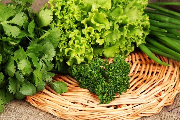Useful herbs close up — Stock Photo, Image