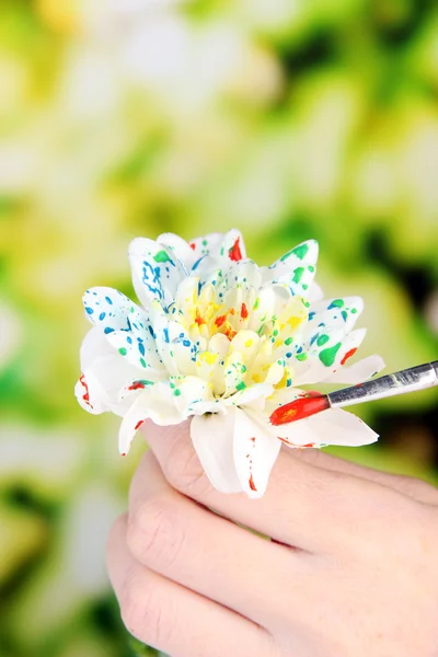 Manos femeninas sosteniendo flor blanca y pintándola con colores, sobre fondo brillante —  Fotos de Stock