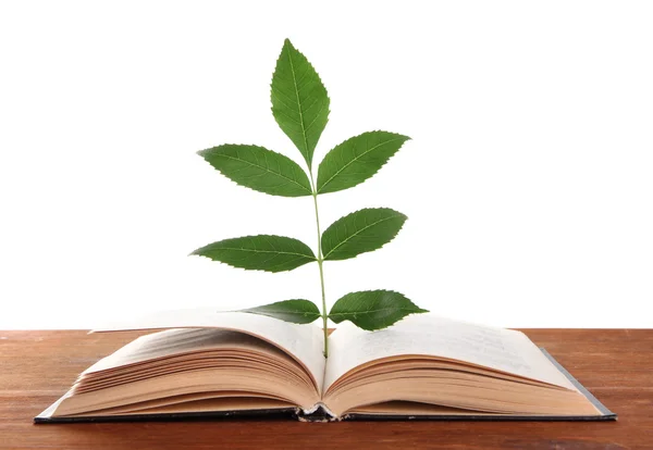 Buch mit Pflanze auf Tisch auf weißem Hintergrund — Stockfoto