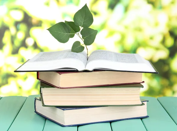 Книги с растением на столе на ярком фоне — стоковое фото