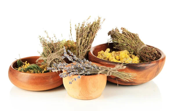 Medicinal Herbs in wooden bowls isolated on white — Stock Photo, Image