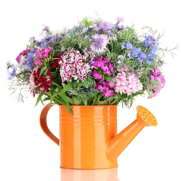 Beautiful bouquet in watering can isolated on white — Stock Photo, Image