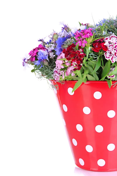 Beautiful bouquet in pail isolated on white — Stock Photo, Image