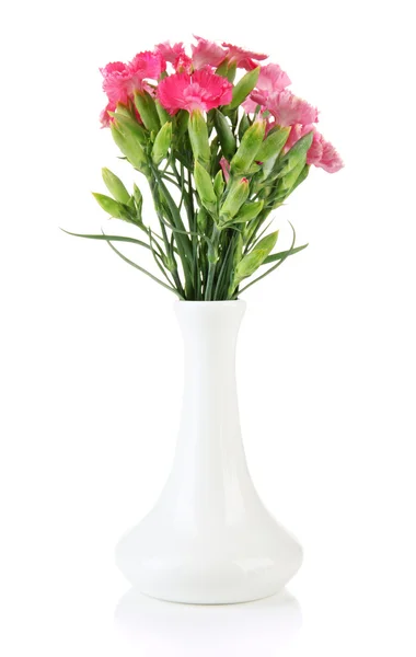 Bouquet of carnations in vase, isolated on white — Stock Photo, Image