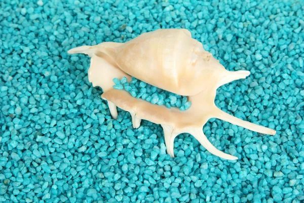 Shell em cristais azuis de fundo de sal marinho — Fotografia de Stock