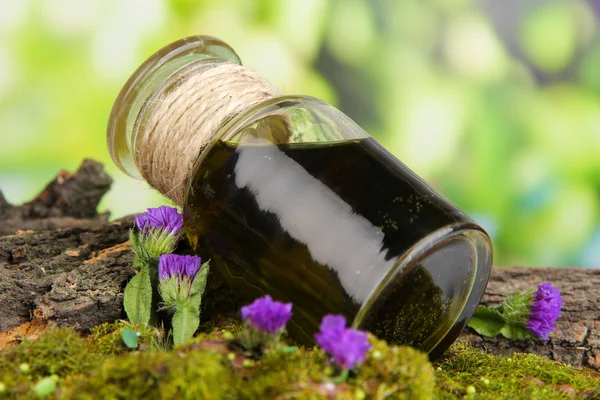 Bottle with basics oil on tree bark and stones close up — Stock Photo, Image