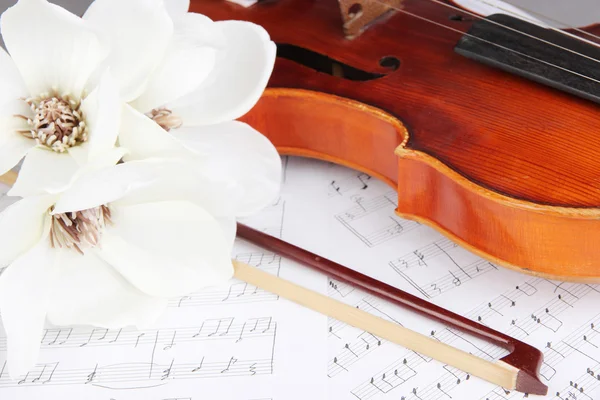 Classical violin on notes — Stock Photo, Image