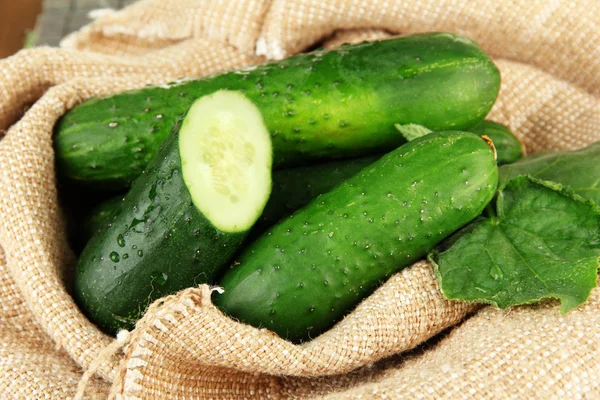 Sabrosos pepinos verdes sobre fondo de saco — Foto de Stock