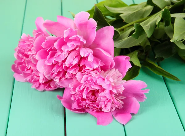 Üzerinde tablo yakın çekim güzel peonies — Stok fotoğraf