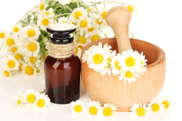 Óleo essencial e flores de camomila em argamassa fechar — Fotografia de Stock