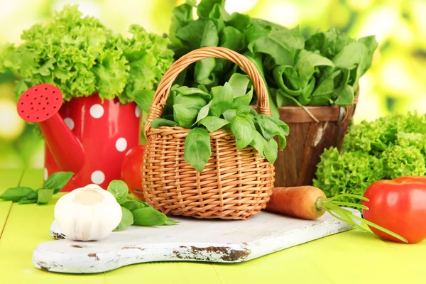Fresh herb in basket on wooden table on natural background — Stock Photo, Image
