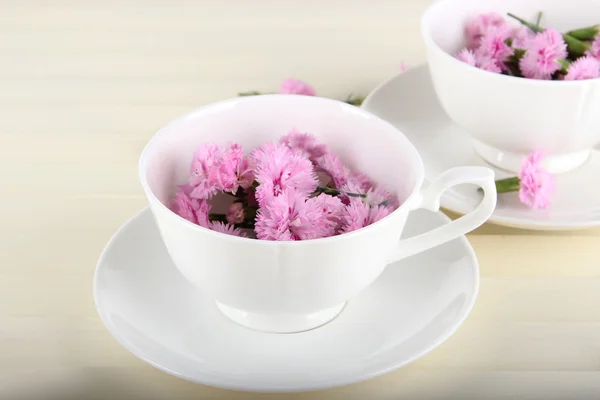 Muitos pequenos cravos cor-de-rosa em copos em fundo de madeira — Fotografia de Stock