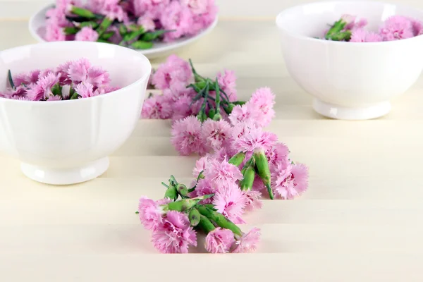 Many small pink cloves in cups on wooden background — Stock Photo, Image