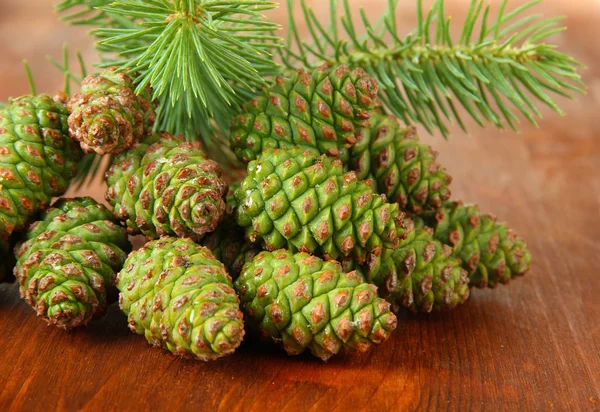 Green cones and fir tree on wooden background — Stock Photo, Image