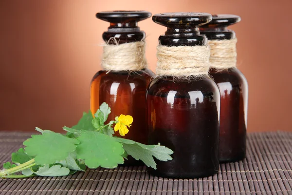 Celidonia floreciente con frascos de medicamentos en la mesa sobre fondo marrón — Foto de Stock