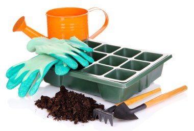 tohum kutusu üzerinde beyaz izole fide için