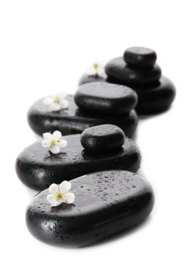 Spa taşlar ve beyaz çiçekler üzerinde beyaz izole