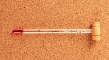 cork zemin üzerine şarap termometre