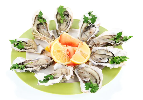 Oesters geïsoleerd op wit — Stockfoto