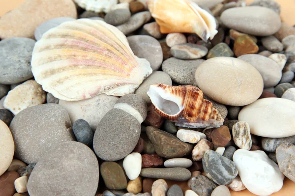 Sfondo di pietre marine — Foto Stock