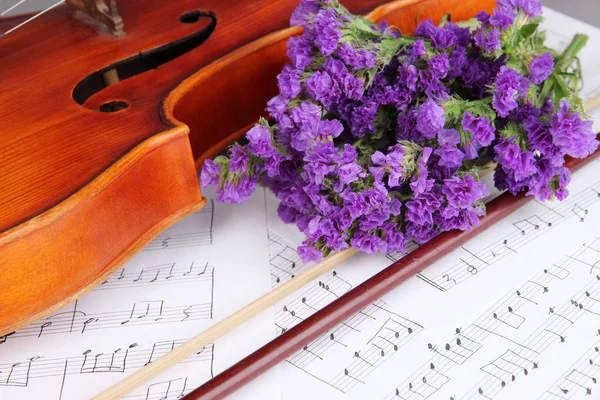 Violín clásico en notas — Foto de Stock