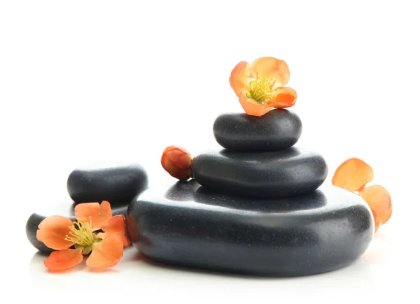 Spa stones and flowers isolated on white — Stock Photo, Image