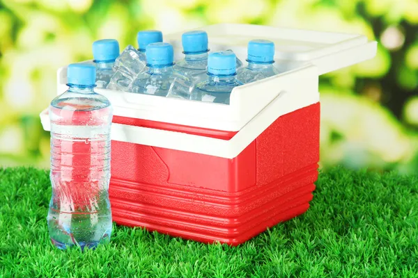 Picnic refrigerador con botellas de agua y cubitos de hielo en la hierba — Foto de Stock