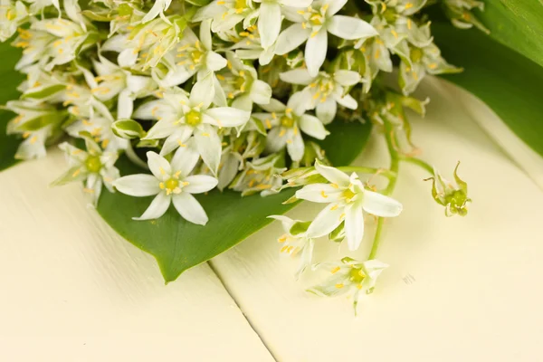 Beautiful mountain daffodils in color vase, on color wooden background — Stock Photo, Image