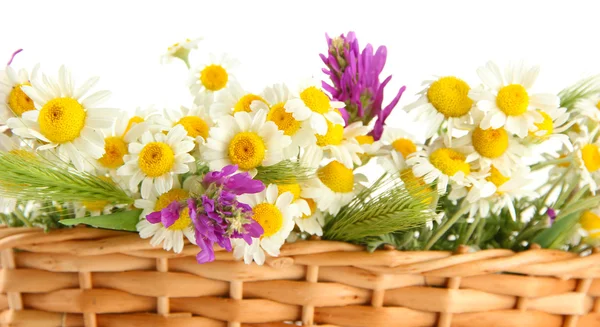 Beautiful wild flowers in basket, isolated on white — Stock Photo, Image