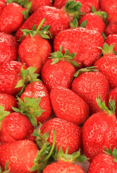 Fresh strawberry close up — Stock Photo, Image