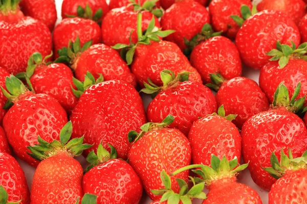 Fresh strawberry close up — Stock Photo, Image