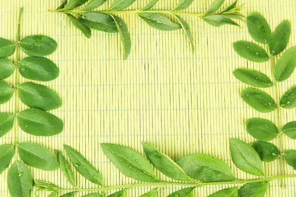 Zielone liście na tle Mata bambusowa — Zdjęcie stockowe