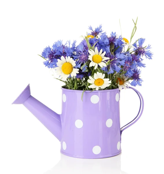 Bouquet of cornflowers and chamomiles in watering can, isolated on white — Stock Photo, Image