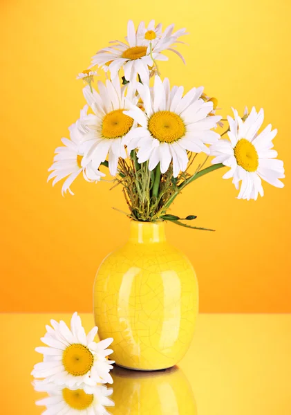 Gyönyörű csokor chamomiles vázában színes háttérrel — Stock Fotó