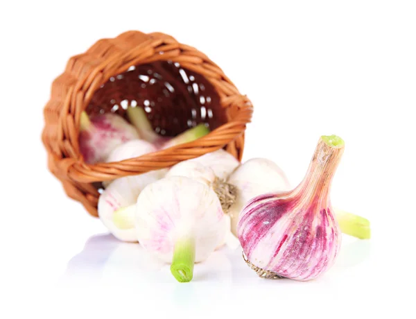 Fresh garlic, in wicker basket isolated on white — Stock Photo, Image