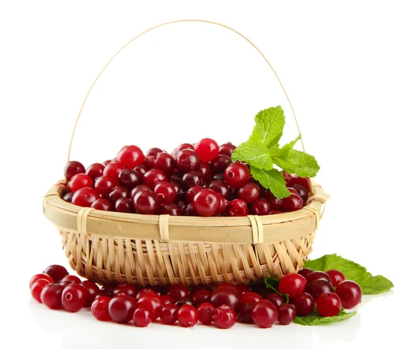 Ripe red cranberries in basket, isolated on whit — Stock Photo, Image