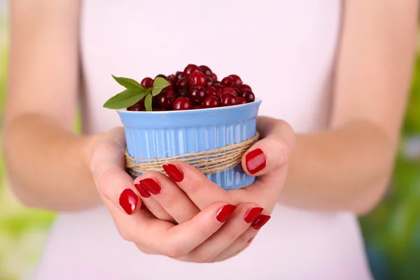 Woman hands holding bowl of ripe red cranberries, close u — Stock Photo, Image