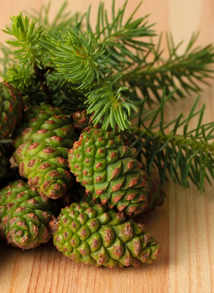 Green cones and fir tree on wooden background — Stock Photo, Image