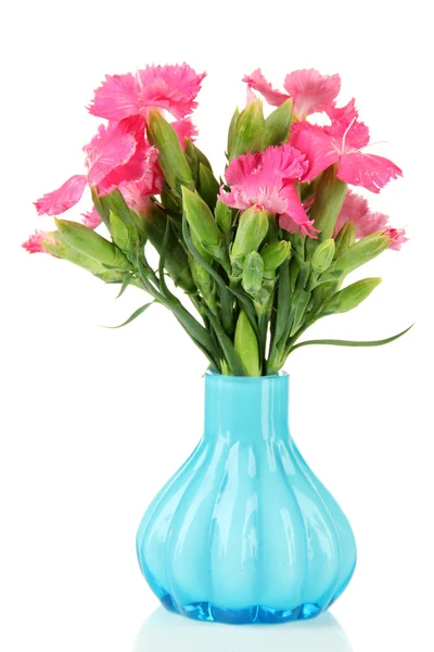 Bouquet of carnations in vase, isolated on white — Stock Photo, Image