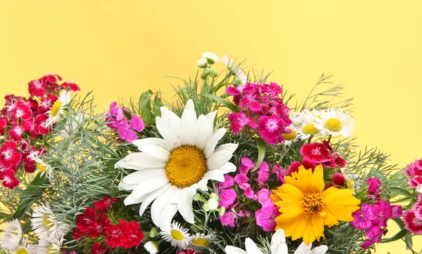 Beautiful bright flowers on yellow background — Stock Photo, Image