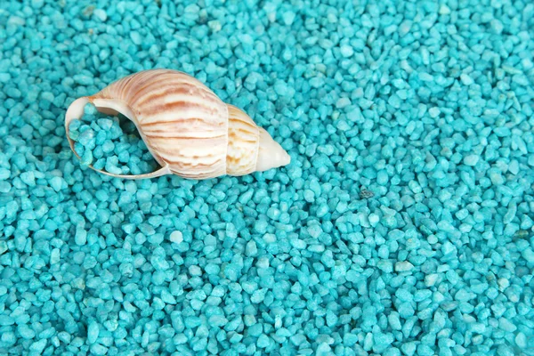 Concha sobre cristales azules de fondo de sal marina —  Fotos de Stock