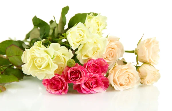 Mooie kleurrijke rozen close-up geïsoleerd op wit Stockfoto