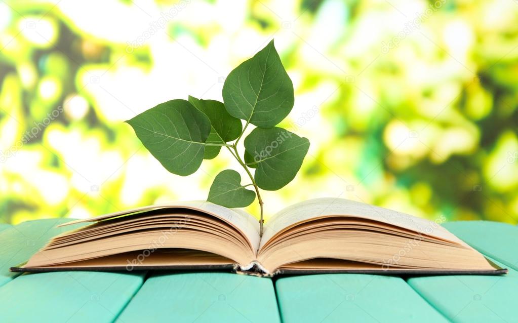 Book with plant on table on bright background