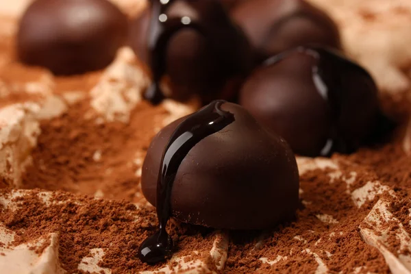 Chocolade snoepjes met cacaopoeder, close-up — Stockfoto