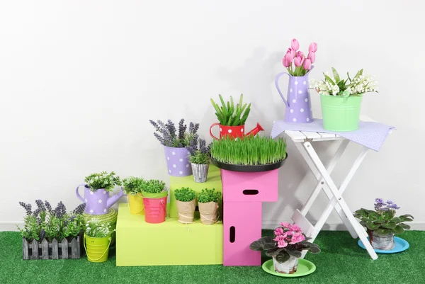 Estantes coloridos y mesa con elementos decorativos de pie sobre hierba —  Fotos de Stock