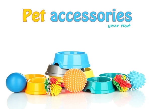 Pet accessories isolated on white — Stock Photo, Image